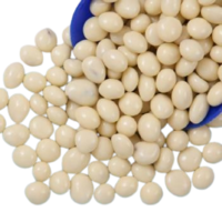 Bulk NAS Sultanas Yoghurt